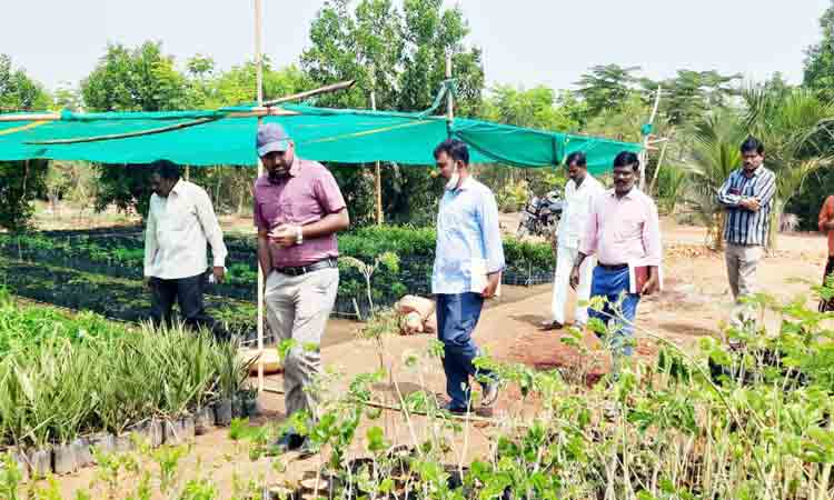 పారిశుధ్యంపై దృష్టి సారించాలి