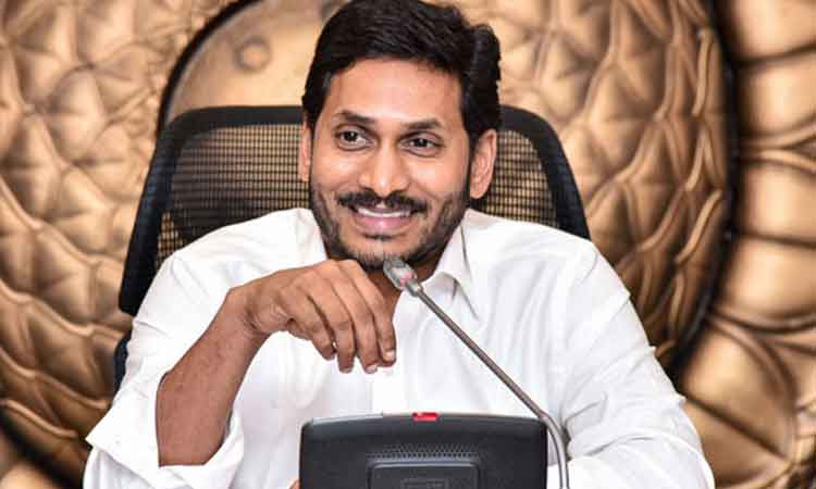 వైసీపీ లక్ష్యాలు సాకారం అవుతున్నాయి : ఏపీ సీఎం జగన్‌