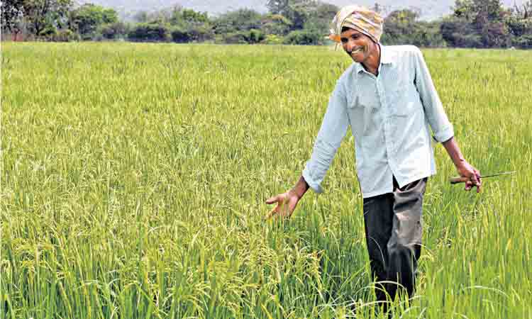 మనమే టాప్‌ ..