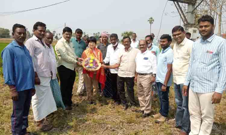 వ్యవసాయానికి 24 గంటల విద్యుత్‌ భేష్‌