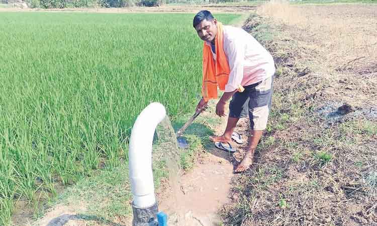 ఎడారి దేశం వదిలి..ఎవుసం బాట