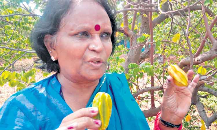 మాజీ శాసనసభ్యురాలు.. సాగులో అద్భుతాలు!