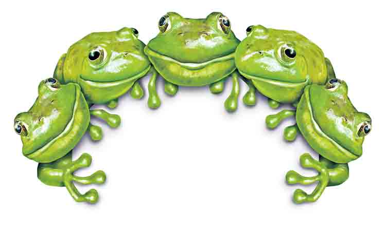 ఓ చిన్నబురద ప్రపంచం