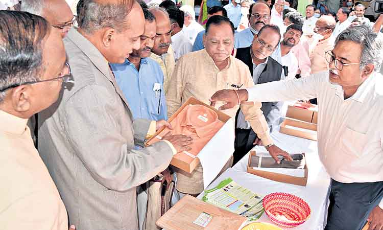 వెదురుసాగుకు జాతీయ విధానం