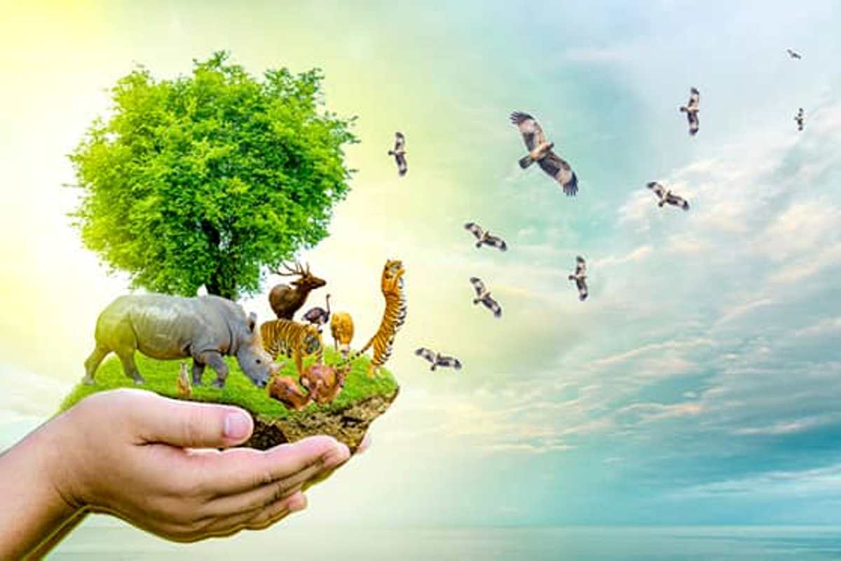 Wildlife Conservation | వన్యప్రాణి సంరక్షణ కేంద్రాలు-రిజర్వులు