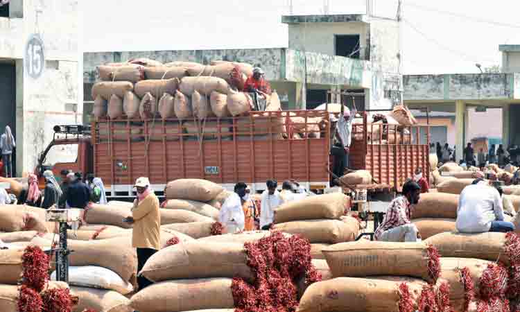 ధర పైపైకి.. రైతు ఖుషీ