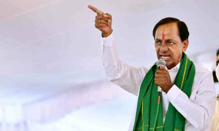 పంట మొత్తం కొనాల్సిందే