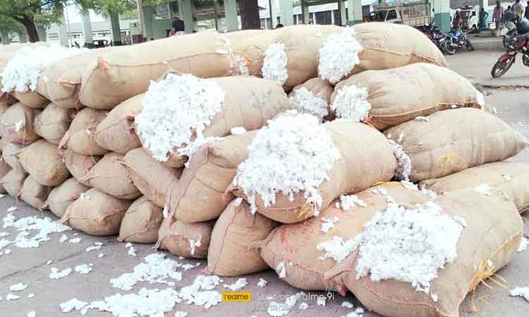 దూసుకెళ్తున్న పత్తి ధర