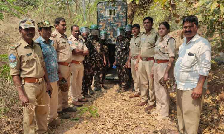 వర్సిటీలో గుడ్డేలుగు కోసం గాలింపు