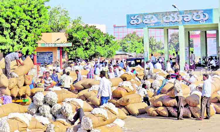 పత్తి ధరలు పైపైకి..