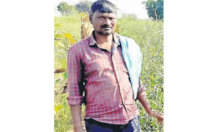 ఆవాలు.. లాభాలు..