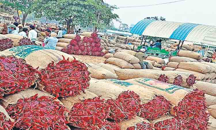 క్వింటాల్‌ మిర్చి 35 వేలు