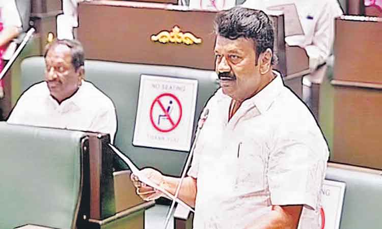 గొర్రెలు, చేపల పెంపకంతో 70 లక్షల మందికి ఉపాధి