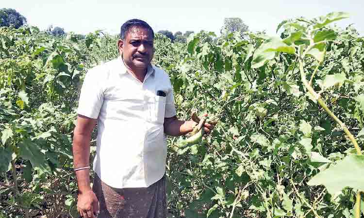 ఆదర్శం.. అంజన్న