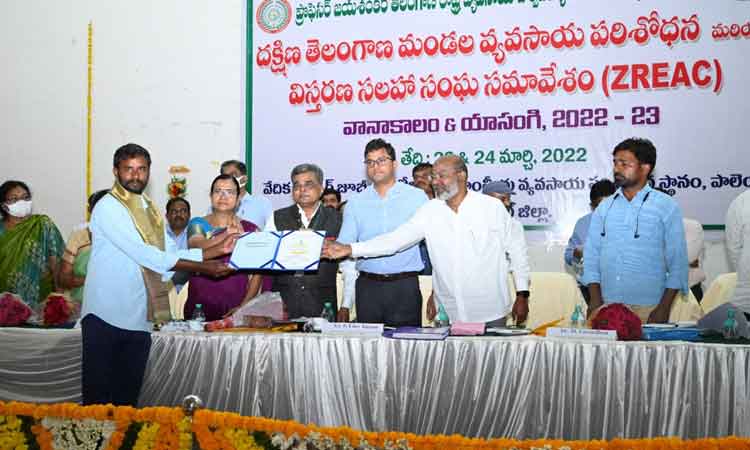 యాసంగిలో పెరిగిన సాగు విస్తీర్ణం