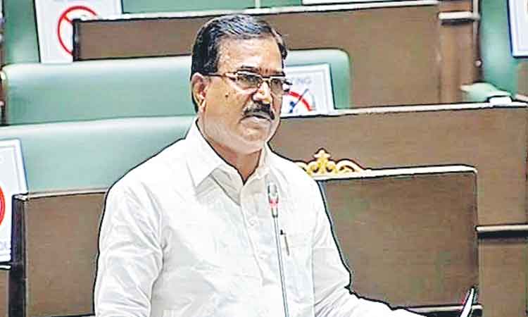 పంట మార్పిడే వ్యవసాయానికి రక్ష