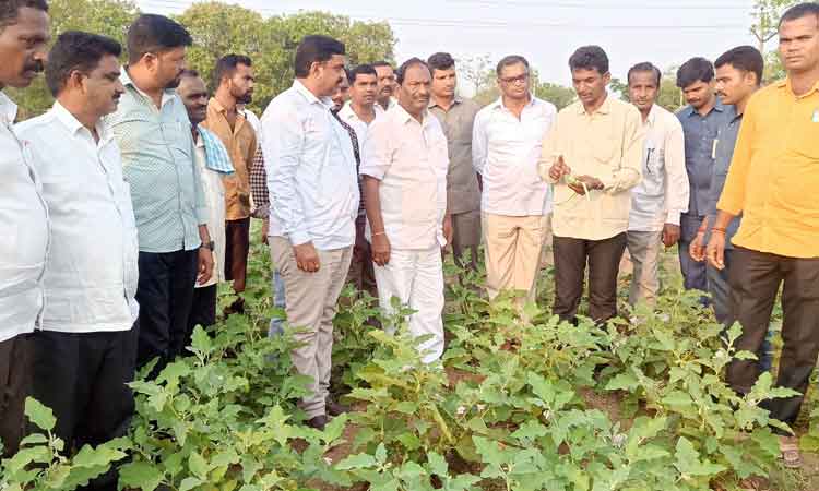 దొడ్డు ధాన్యం కొనాల్సిందే