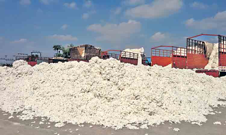 పత్తి క్వింటాల్‌ రూ.10,510