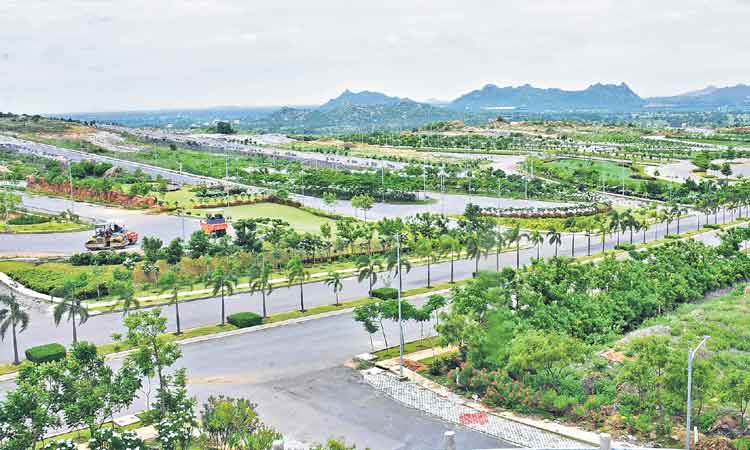 సుందర తలము.. నందన వనము