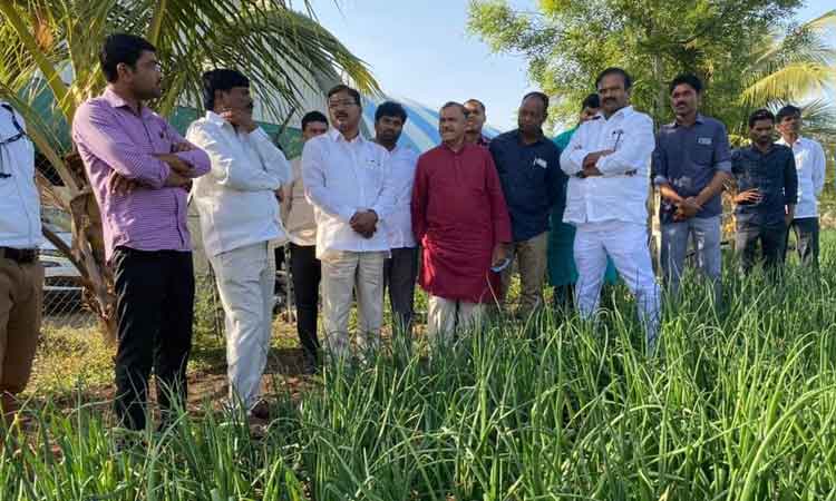 లాభసాటి పంటలే వేయాలి