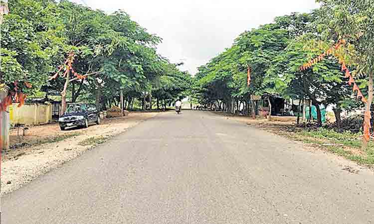 పల్లెలో పచ్చందాలు..అభివృద్ధిలో ఆదర్శం..