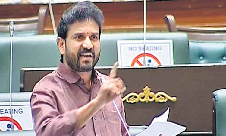 బడ్జెట్‌లో వైద్యానికి అధిక నిధులు