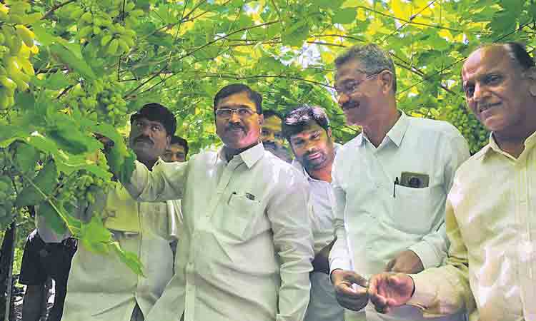 దేశాన్ని పంట కాలనీలుగా విభజించాలి