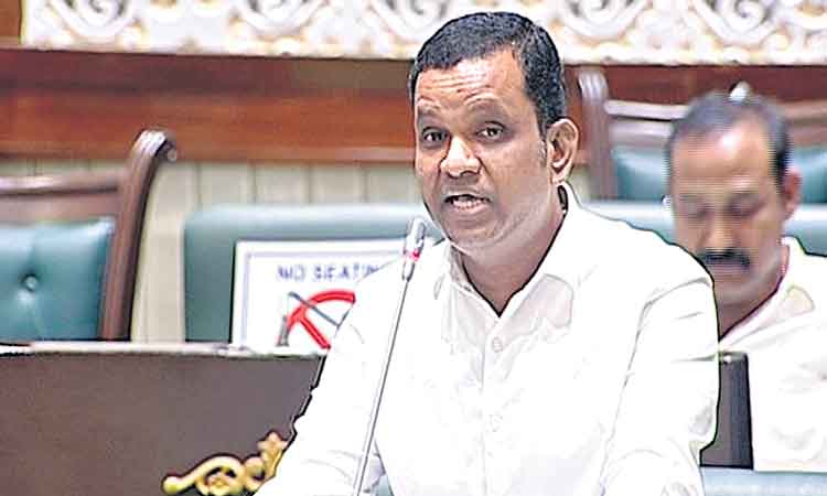 విద్యావ్యవస్థ అద్భుతం