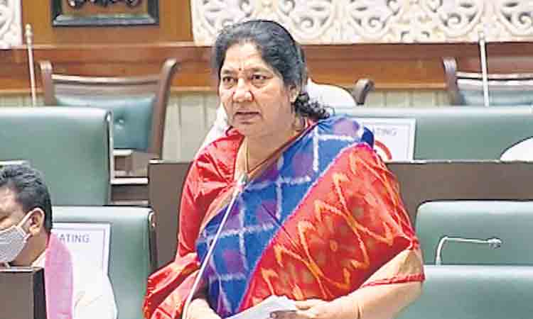 మహిళలు, గిరిజనుల అభివృద్ధికి విశేష కృషి: మంత్రి సత్యవతి