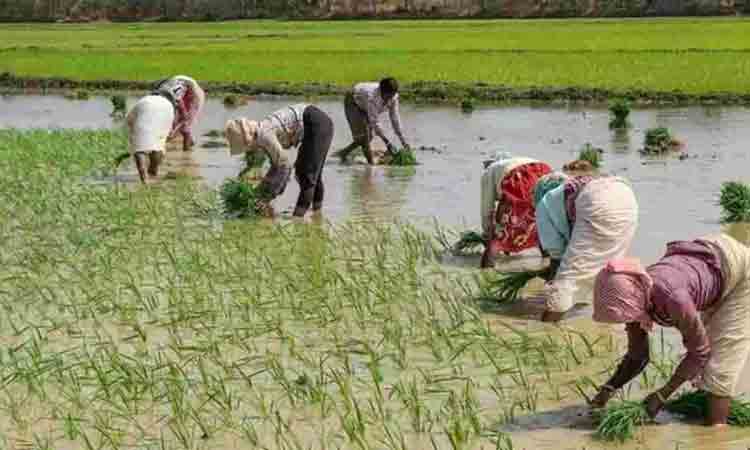 75 వేల లోపు పంట రుణాలు మాఫీ