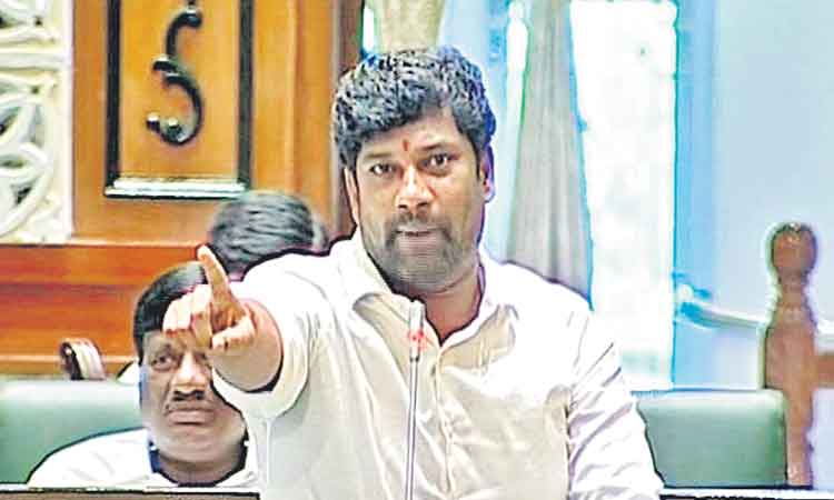 మీలా కొల్లగొట్టే తెలివి మాకు లేదు