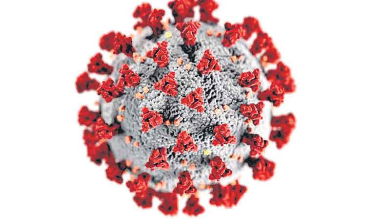 కొవిడ్‌పై తప్పుడు ప్రచారం నమ్మొద్దు: డబ్ల్యూహెచ్‌వో