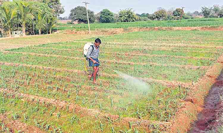 అన్నదాత చైతన్యం..’ఆరుతడి’ అధికం