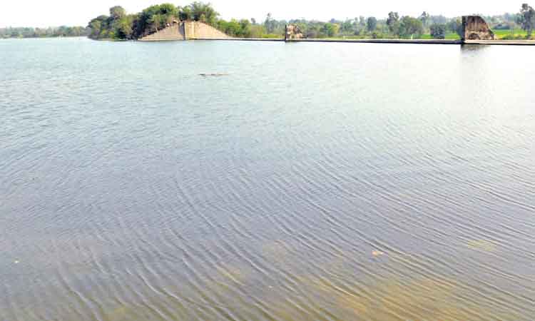 నిండుకుండలా హాల్దీప్రాజెక్టు