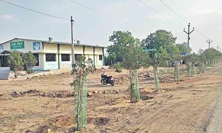 పట్టణాలకు దీటుగా పల్లెలు