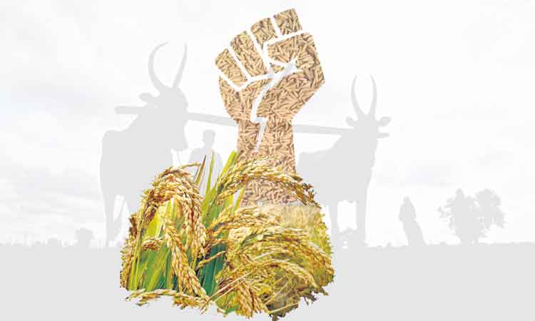 వరి పోరుకు సన్నద్దం