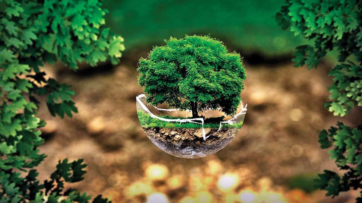 Ecology Terminology | ఆవరణశాస్త్రం పరిభాష