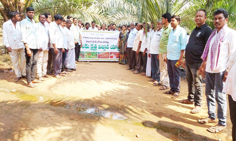 ఆయిల్‌పాం తోటల సందర్శన