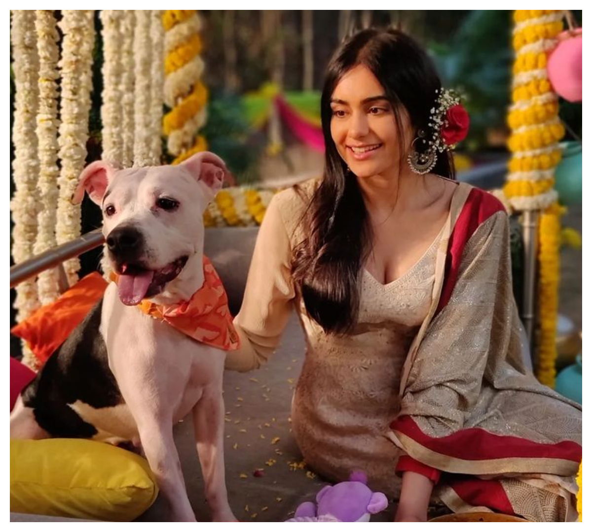 Adah Sharma | అదా అందాలు అదరహో..