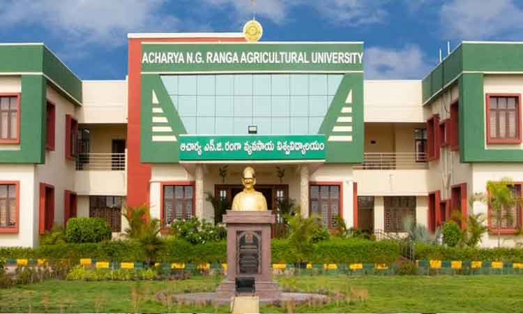 రైతులకు ఉగాది అవార్డులు.. ఎన్జీ రంగా అగ్రి వర్శిటీ దరఖాస్తుల ఆహ్వానం