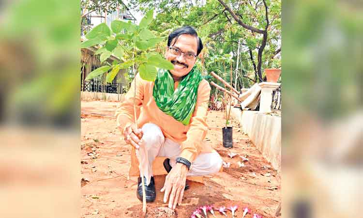 ఉత్సాహంగా సాగుతున్న గ్రీన్‌ ఇండియా చాలెంజ్‌