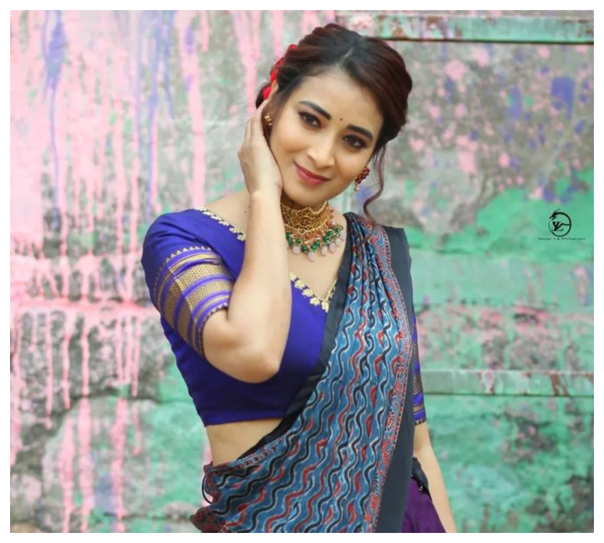 Bhanu Shree | చీరకట్టులో హొయలుపొయిన బిగ్‌బాస్‌ బ్యూటీ భానుశ్రీ..