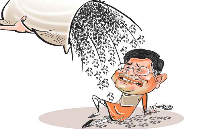 నూకలు బాకీ లేవిక..