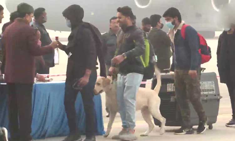 ఉక్రెయిన్‌ నుంచి ఢిల్లీకి చేరిన సీ-17 విమానాలు.. స్వదేశానికి 420 మంది విద్యార్థులు