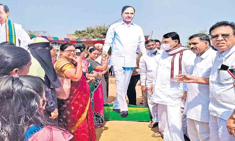 ఆడబిడ్డల సంబురం