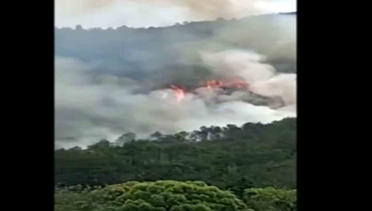 కూలిన చైనా విమానం, భారీగా ఎగసిన మంటలు … అందులో 133 మంది ప్రయాణికులు