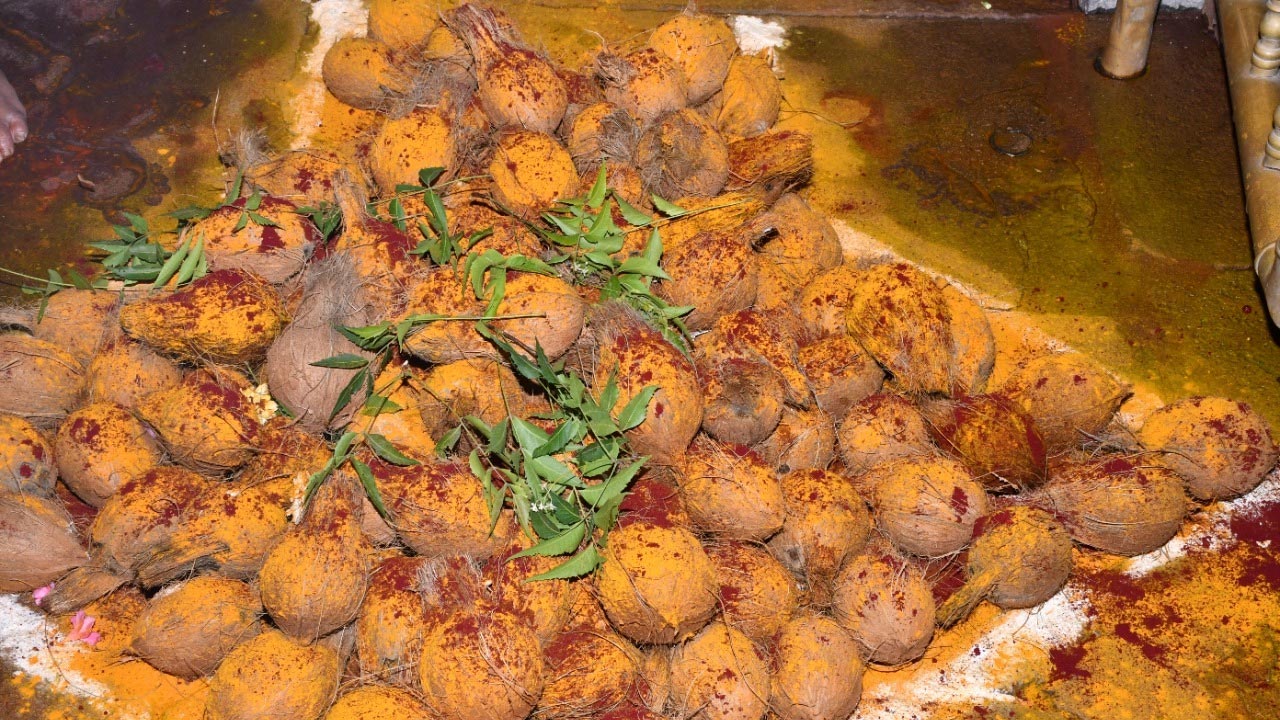 శ్రీశైలంలో కుంభోత్సవానికి కొబ్బరికాయల సమర్పణ