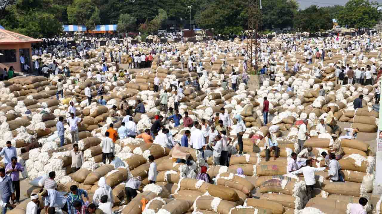 వ‌రంగ‌ల్ మార్కెట్‌లో ప‌త్తికి రికార్డు స్థాయి ధ‌ర‌.. క్వింటాల్ రూ. 10,800