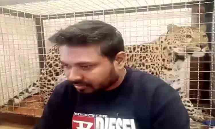 పులులతోనే వస్తా.. లేకుంటే లేదు!