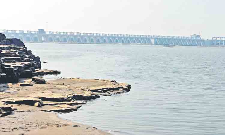 59 గేట్లతో సమ్మక్క బరాజ్‌